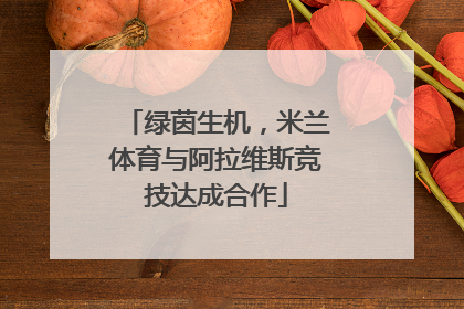 绿茵生机，米兰体育与阿拉维斯竞技达成合作