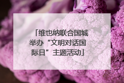维也纳联合国城举办“文明对话国际日”主题活动