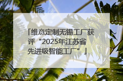 维意定制无锡工厂获评“2025年江苏省先进级智能工厂”