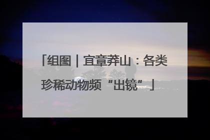 组图｜宜章莽山：各类珍稀动物频“出镜”