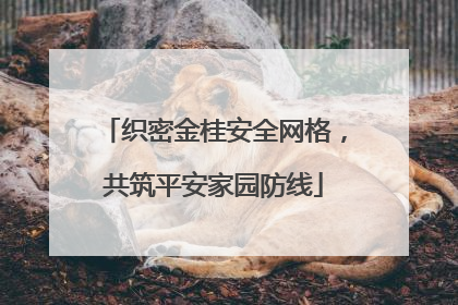 织密金桂安全网格，共筑平安家园防线