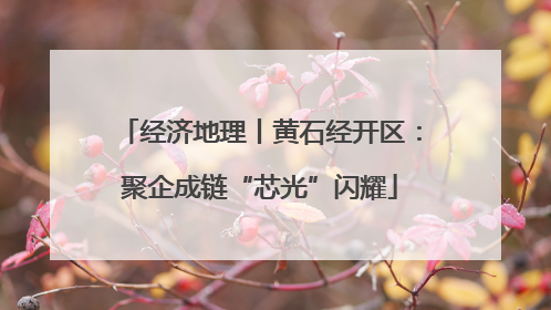 经济地理丨黄石经开区：聚企成链“芯光”闪耀