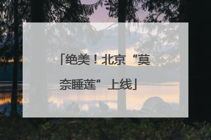 绝美！北京“莫奈睡莲”上线