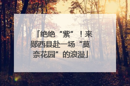 绝绝“紫”！来郧西县赴一场“莫奈花园”的浪漫