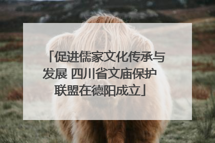 促进儒家文化传承与发展 四川省文庙保护联盟在德阳成立