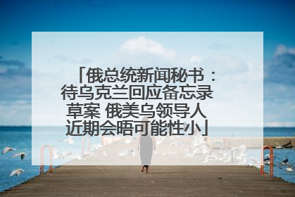 俄总统新闻秘书：待乌克兰回应备忘录草案 俄美乌领导人近期会晤可能性小