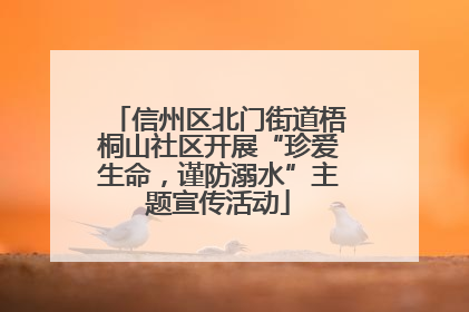信州区北门街道梧桐山社区开展“珍爱生命，谨防溺水”主题宣传活动