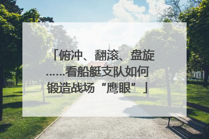 俯冲、翻滚、盘旋……看船艇支队如何锻造战场“鹰眼”