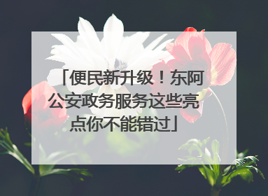 便民新升级！东阿公安政务服务这些亮点你不能错过