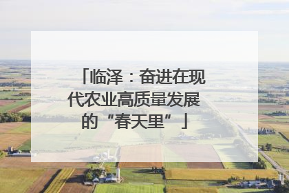 临泽：奋进在现代农业高质量发展的“春天里”