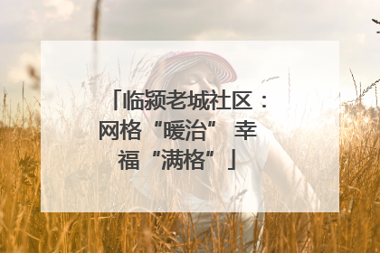 临颍老城社区：网格“暖治” 幸福“满格”