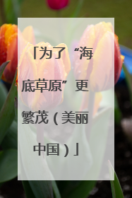 为了“海底草原”更繁茂（美丽中国）