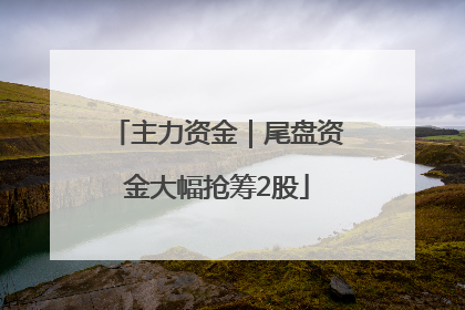 主力资金｜尾盘资金大幅抢筹2股