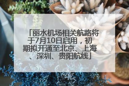 丽水机场相关航路将于7月10日启用，初期拟开通至北京、上海、深圳、贵阳航线