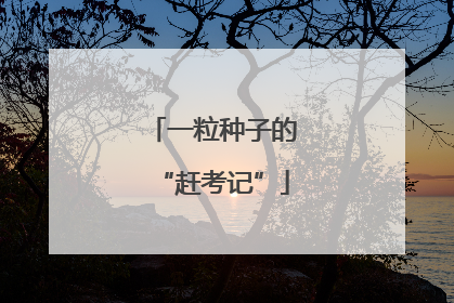 一粒种子的“赶考记”