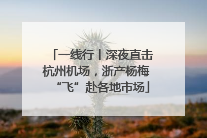 一线行丨深夜直击杭州机场，浙产杨梅“飞”赴各地市场