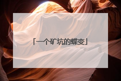 一个矿坑的蝶变