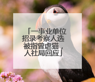 一事业单位招录考察人选被指曾虐猫，人社局回应