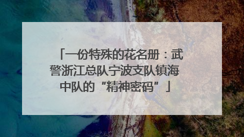 一份特殊的花名册：武警浙江总队宁波支队镇海中队的“精神密码”