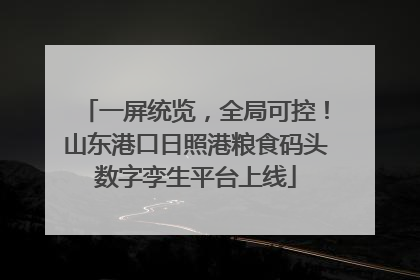 一屏统览，全局可控！山东港口日照港粮食码头数字孪生平台上线