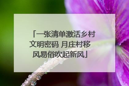 一张清单激活乡村文明密码 月庄村移风易俗吹起新风