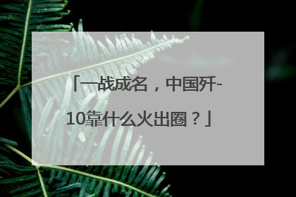一战成名，中国歼-10靠什么火出圈？