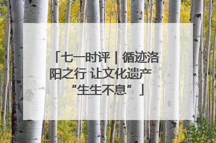 七一时评｜循迹洛阳之行 让文化遗产“生生不息”