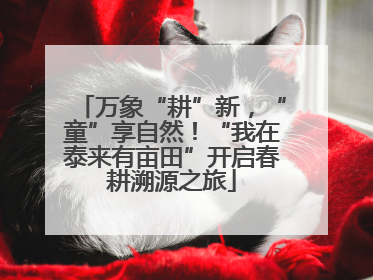 万象“耕”新，“童”享自然！“我在泰来有亩田”开启春耕溯源之旅