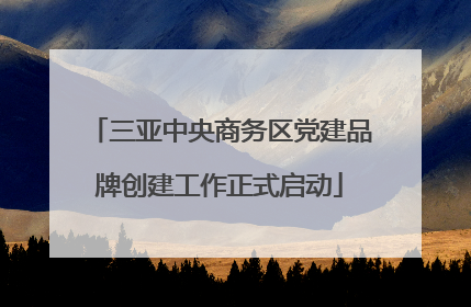 三亚中央商务区党建品牌创建工作正式启动
