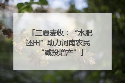 三夏麦收：“水肥还田”助力河南农民“减投增产”