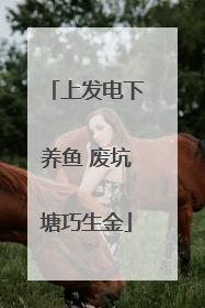 上发电下养鱼 废坑塘巧生金