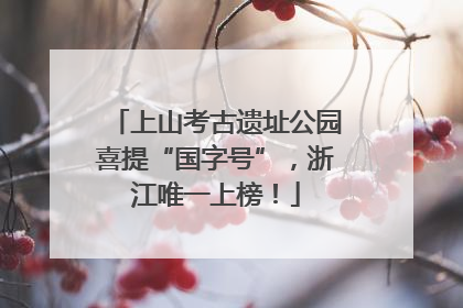 上山考古遗址公园喜提“国字号”，浙江唯一上榜！