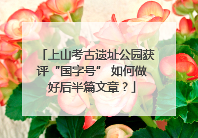 上山考古遗址公园获评“国字号” 如何做好后半篇文章？