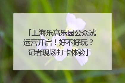 上海乐高乐园公众试运营开启！好不好玩？记者现场打卡体验