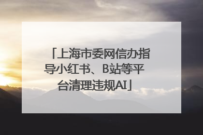 上海市委网信办指导小红书、B站等平台清理违规AI