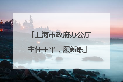 上海市政府办公厅主任王平，履新职