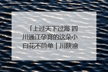 上过天下过海 四川通江孕育的这朵小白花不简单｜川陕渝网络名人巴中行