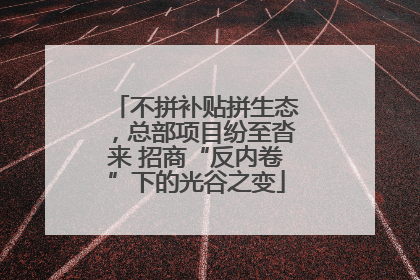 不拼补贴拼生态，总部项目纷至沓来 招商“反内卷”下的光谷之变