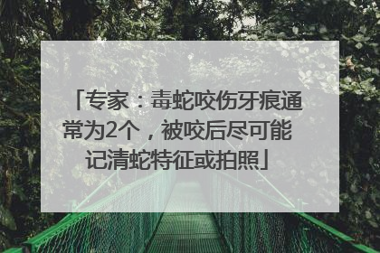 专家：毒蛇咬伤牙痕通常为2个，被咬后尽可能记清蛇特征或拍照