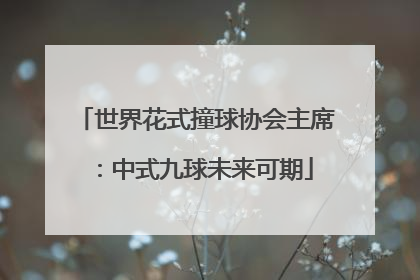 世界花式撞球协会主席：中式九球未来可期