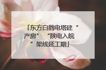 东方白鹳电塔建“产房” “陕电入皖”架线延工期
