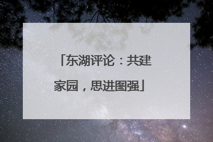 东湖评论：共建家园，思进图强