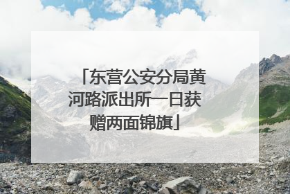 东营公安分局黄河路派出所一日获赠两面锦旗
