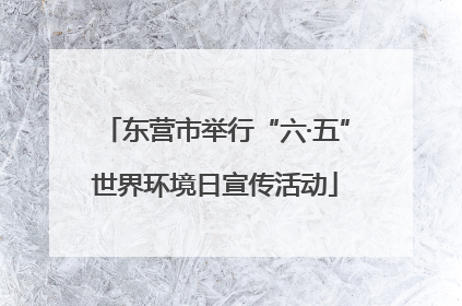 东营市举行“六·五”世界环境日宣传活动