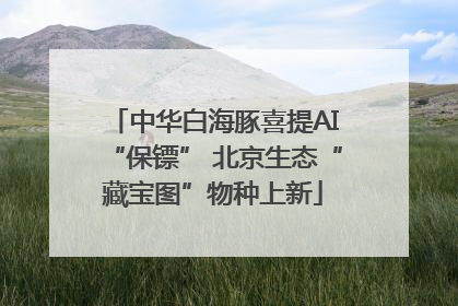 中华白海豚喜提AI“保镖” 北京生态“藏宝图”物种上新