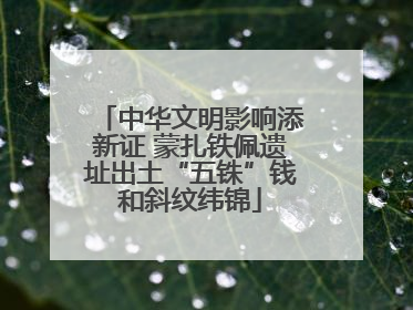 中华文明影响添新证 蒙扎铁佩遗址出土“五铢”钱和斜纹纬锦