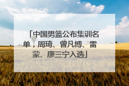中国男篮公布集训名单，周琦、曾凡博、雷蒙、廖三宁入选