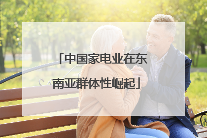 中国家电业在东南亚群体性崛起