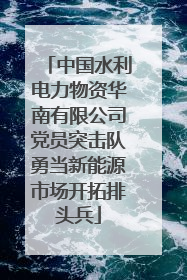 中国水利电力物资华南有限公司党员突击队勇当新能源市场开拓排头兵