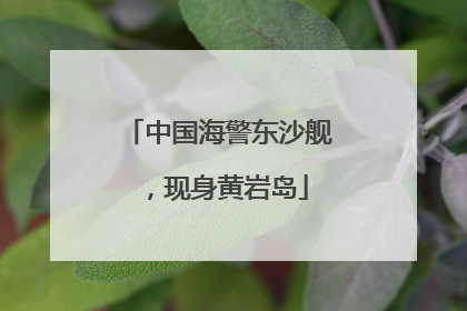 中国海警东沙舰，现身黄岩岛